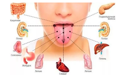 Металлический привкус во рту: в чем причина?